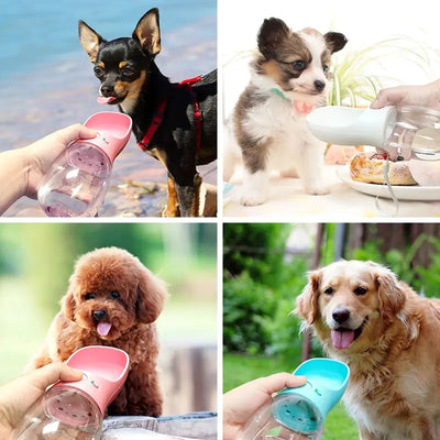 Dog Travel Water Bottle