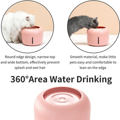 Pet Drinking Fountain With Filter