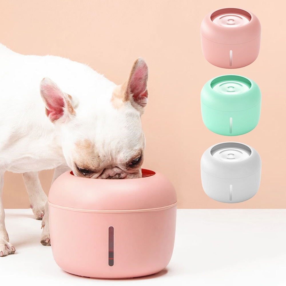 Pet Drinking Fountain With Filter